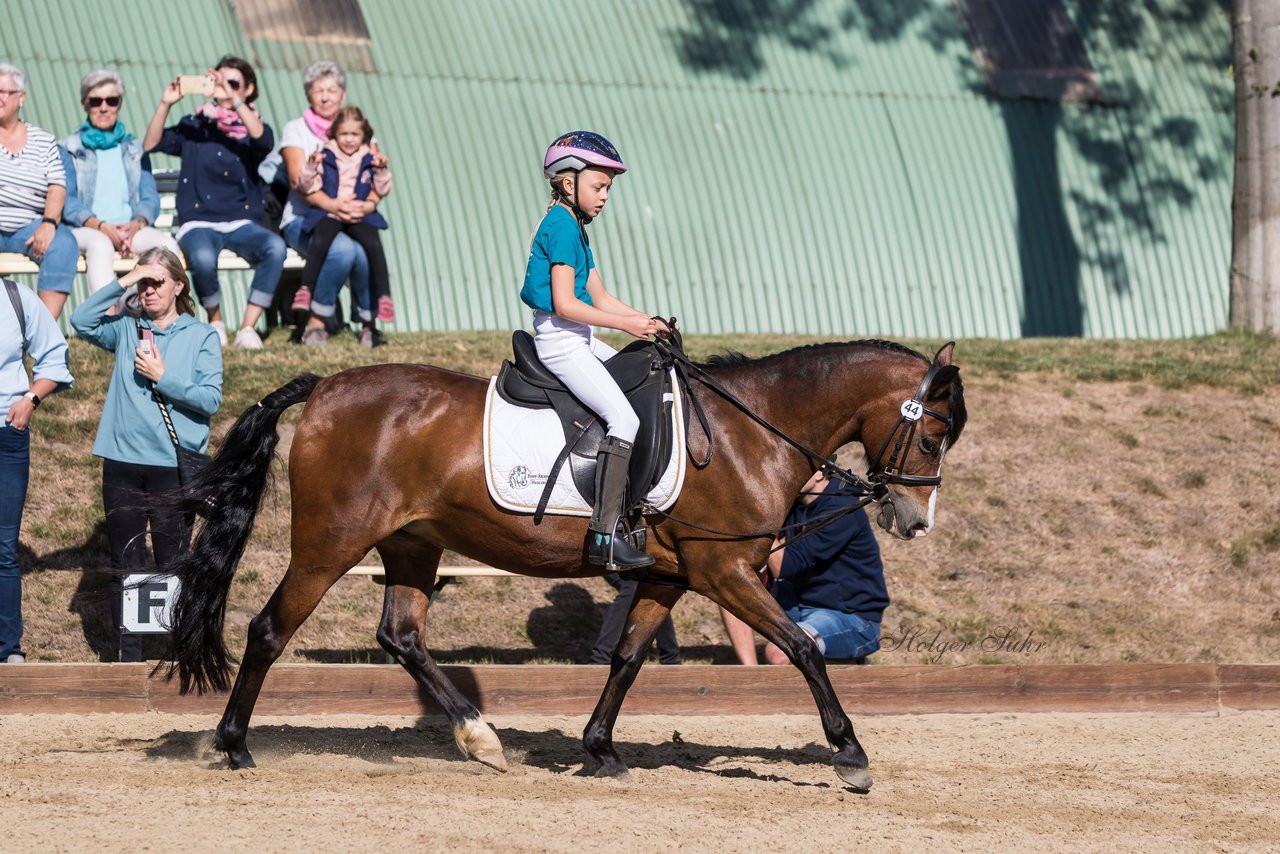 Bild 36 - Pony Akademie Turnier